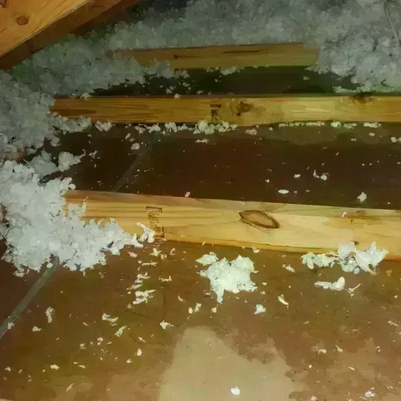 Attic Water Damage in Cleveland Heights, OH