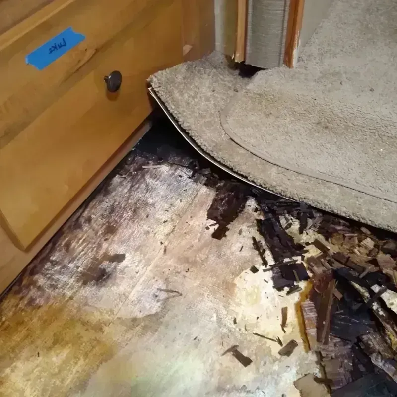 Wood Floor Water Damage in Cleveland Heights, OH